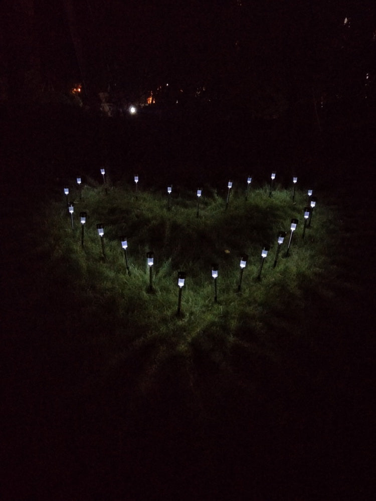 10pcs 5W High Brightness Solar Power LED Lawn Lamps with Lampshades White & Silver