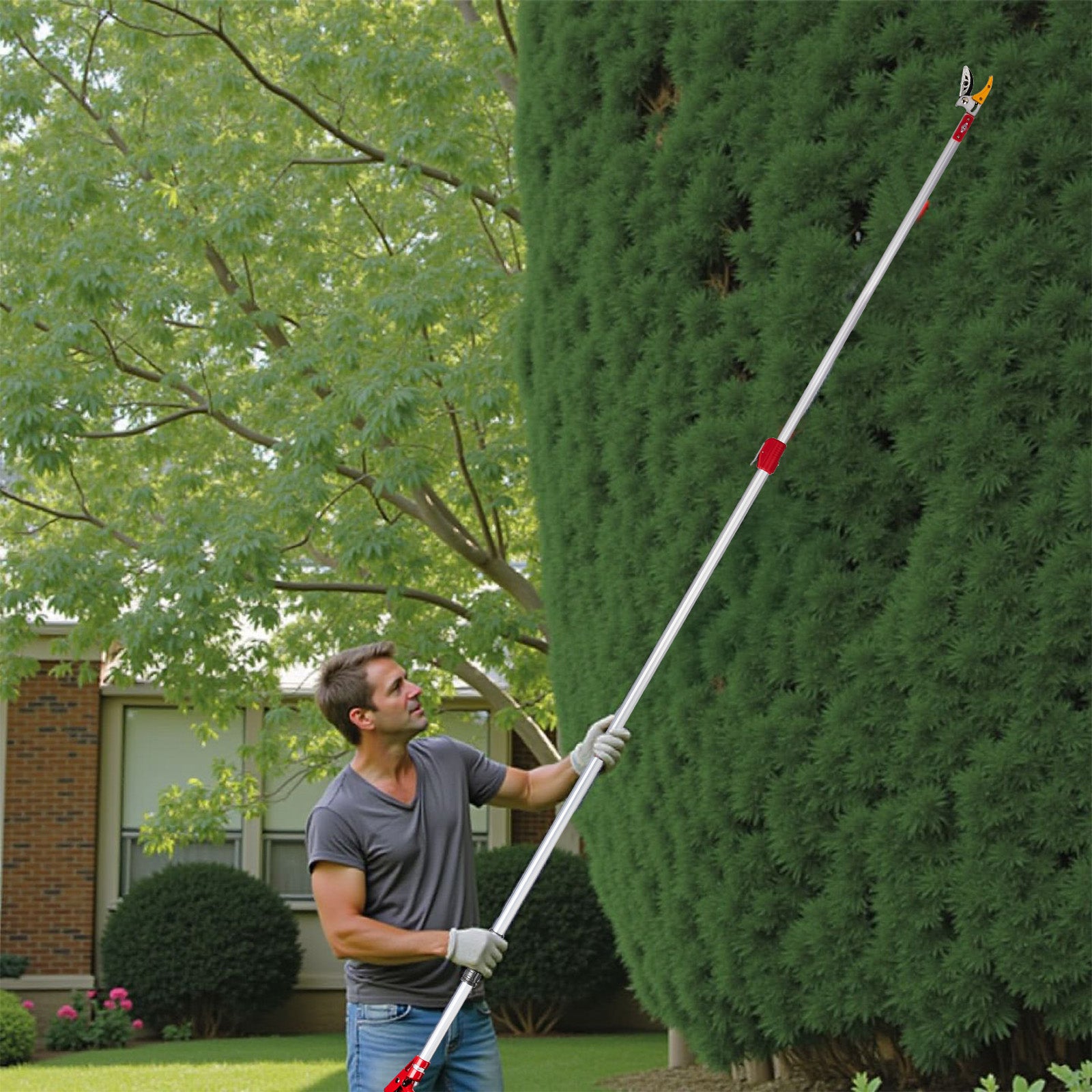 Long Reach Pruner for Garden, Cut & Hold Telescopic Pole Pruner, Fruit Picker Tree Branch Cutter with Lightweight Aluminum Extendable Handle, 5.9-9.8 FT