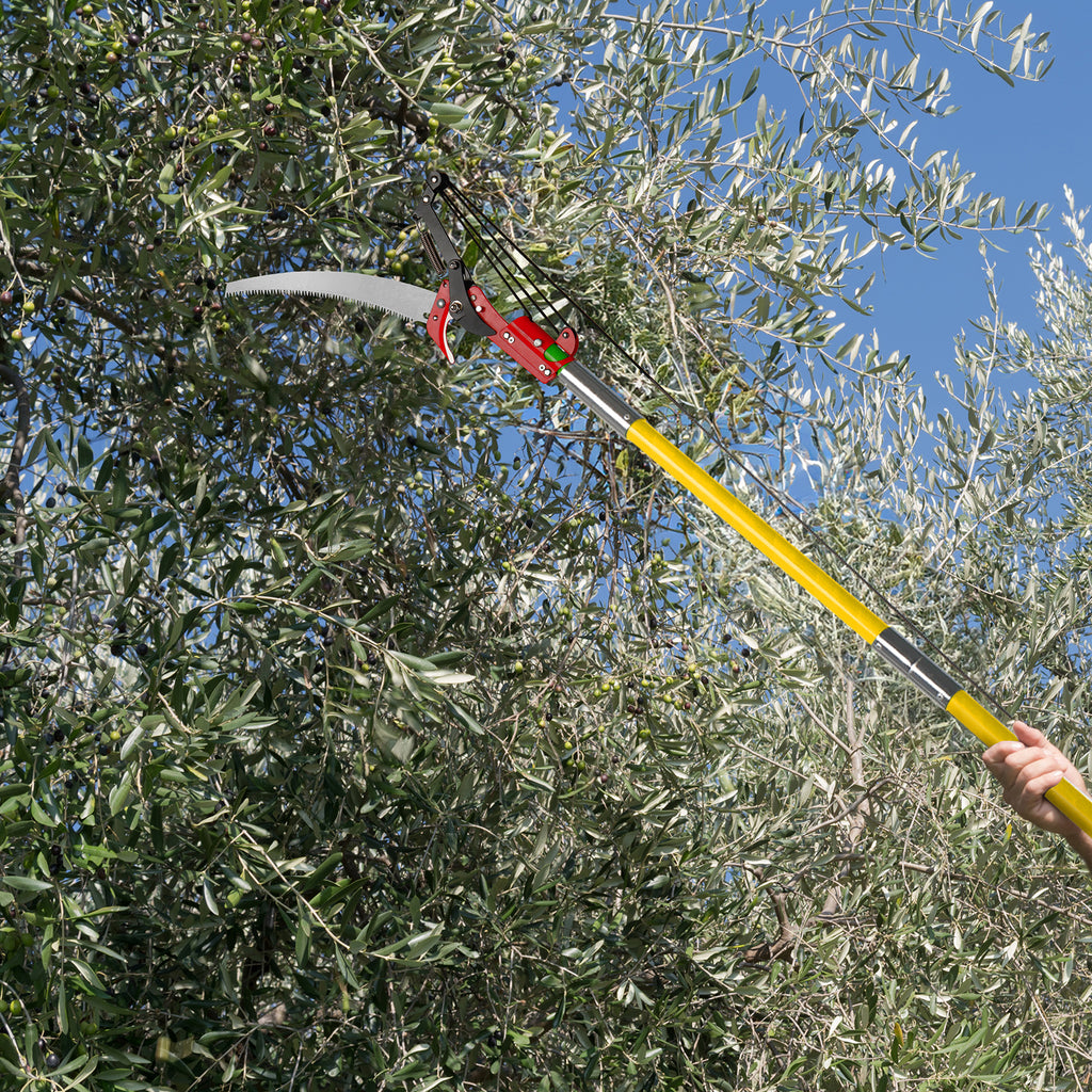 30ft Manual Pole Saw, Lightweight Tree Trimmers Long Handle Pruner Set, Sharp Steel Blade and Scissors Pole Saw for Trimming Palm, Pear Tree, Fir Tree, Other High Trees and Shrubs