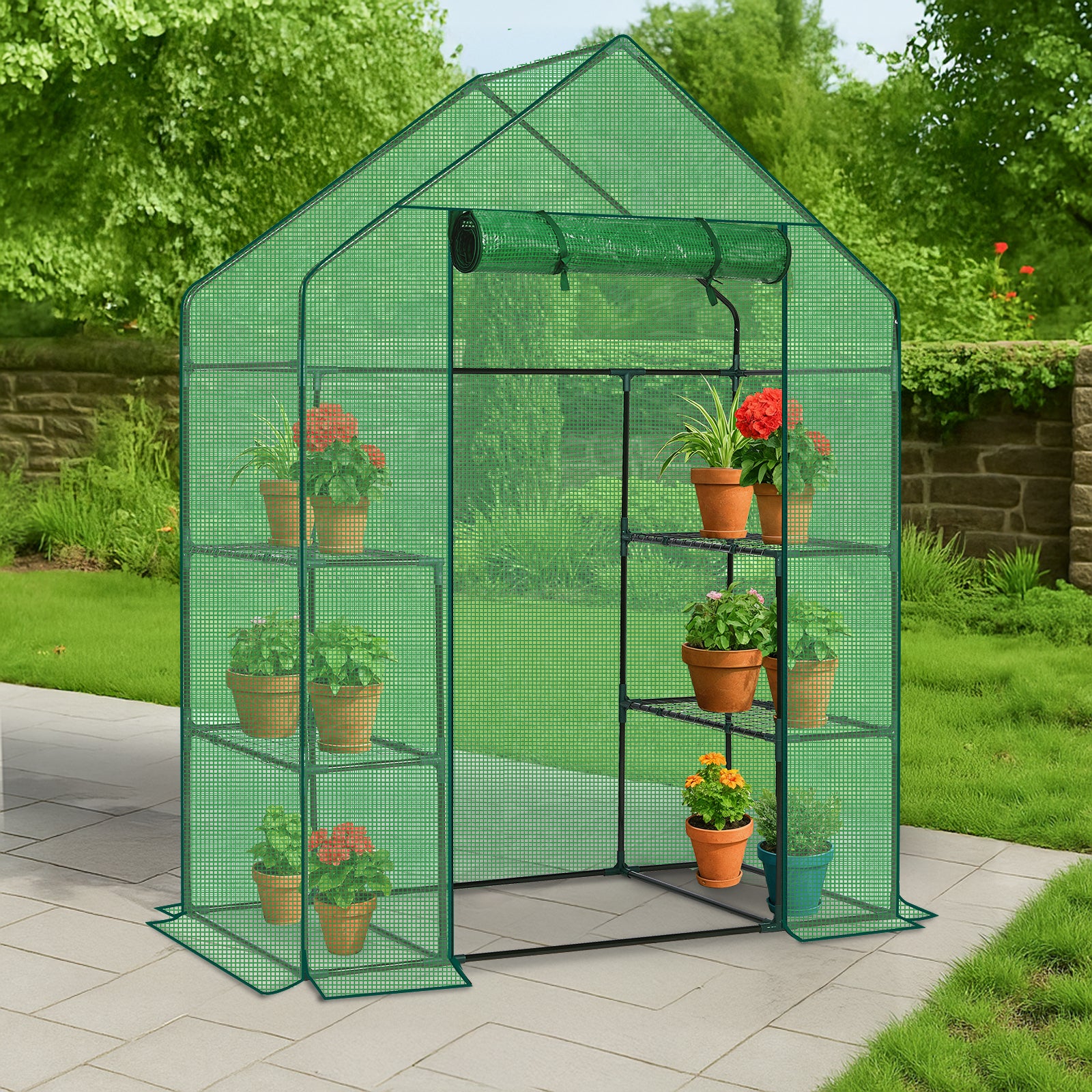 Mini Walk-in Greenhouse with PE Cover, 4-Shelf Indoor Outdoor Plant Gardening Green House for Garden Backyard, 56" x 29" x 77", Green